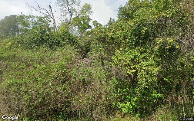 Street view of 42302 Weber City Rd, 23.27 acres of land in Gonzales, LA